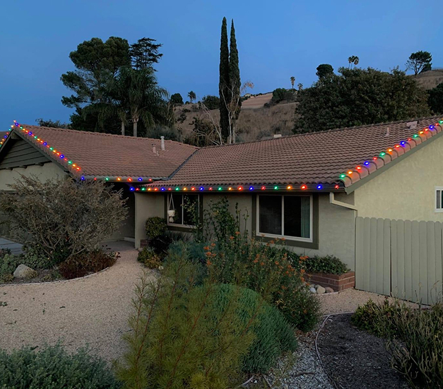 Holiday Season